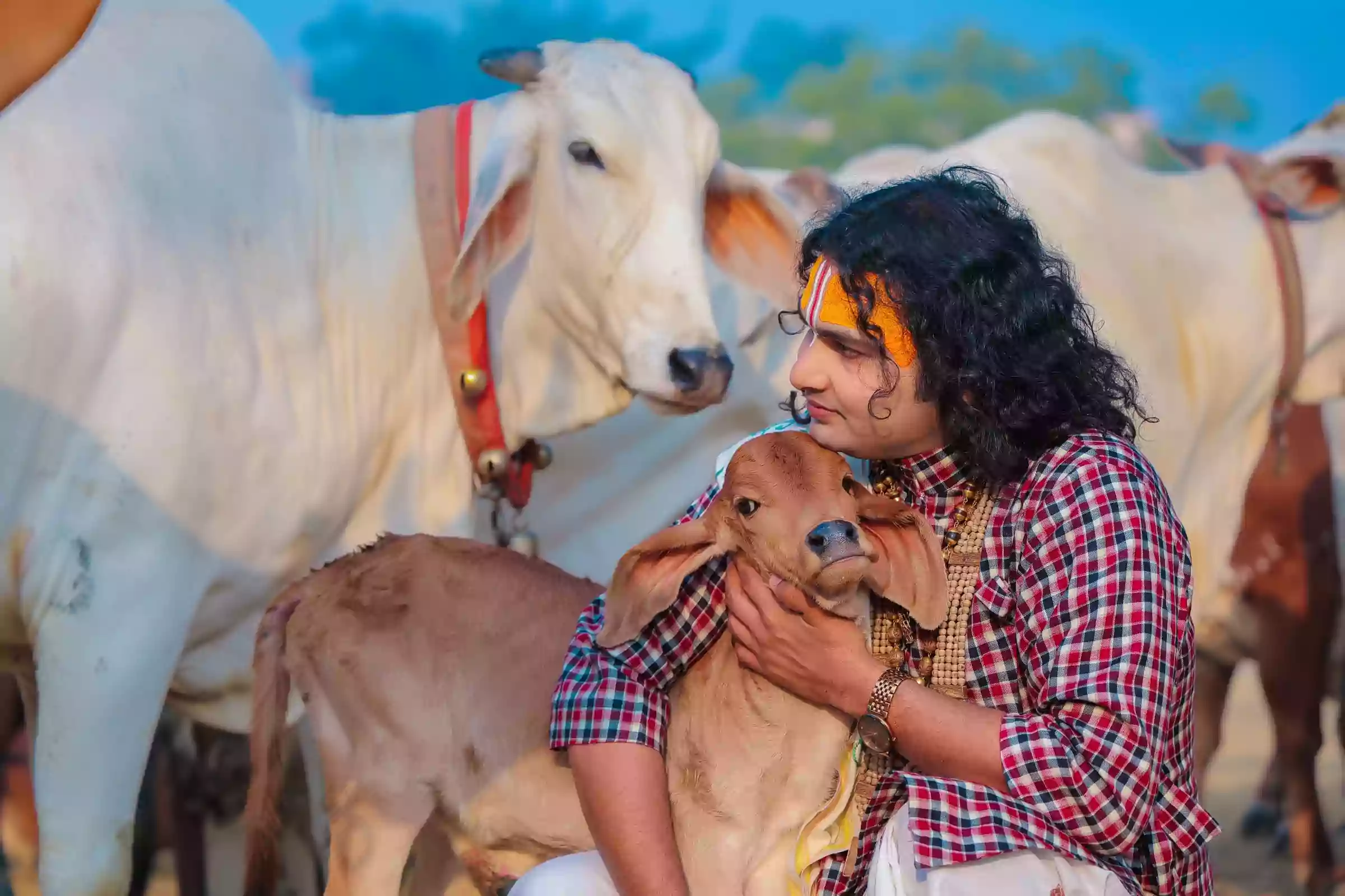 Importance of Cow Service